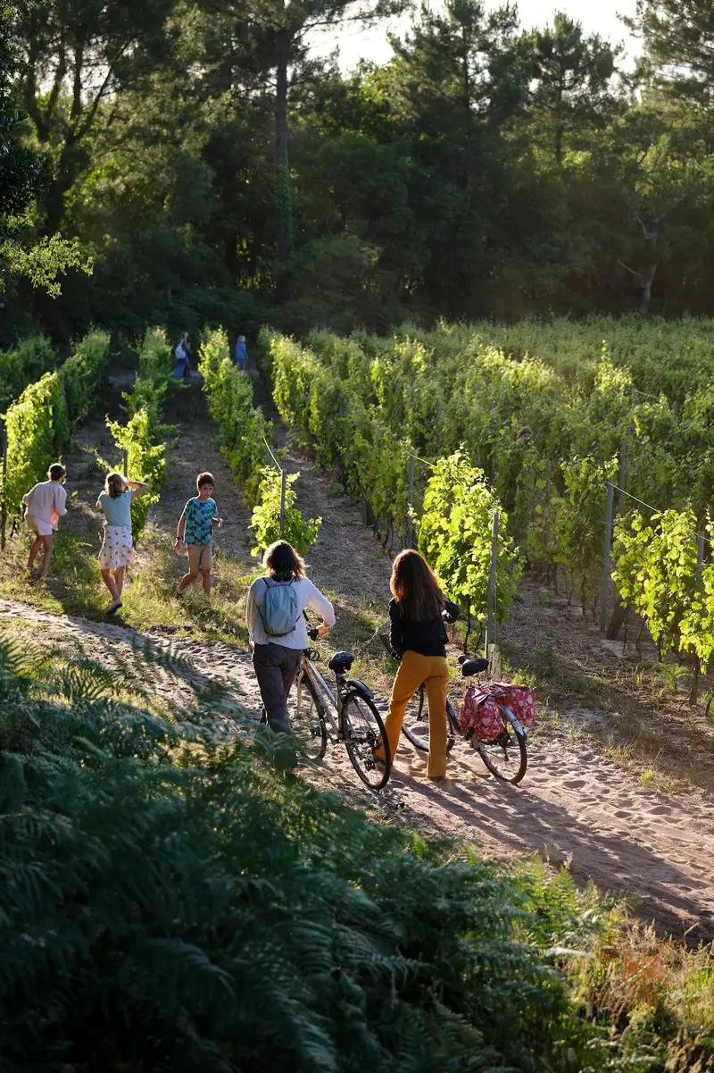 Domaine de la Pointe
