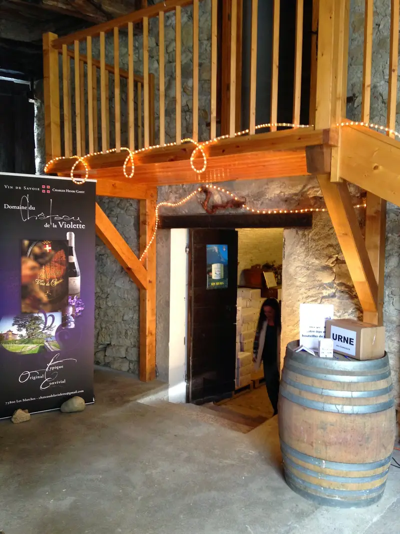 Domaine Château de la Violette