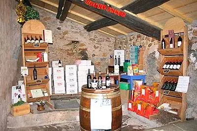 Domaine le Cazal