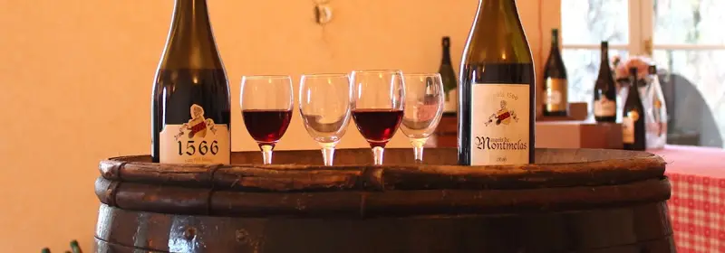 Domaine Vins Marquis de Montmelas