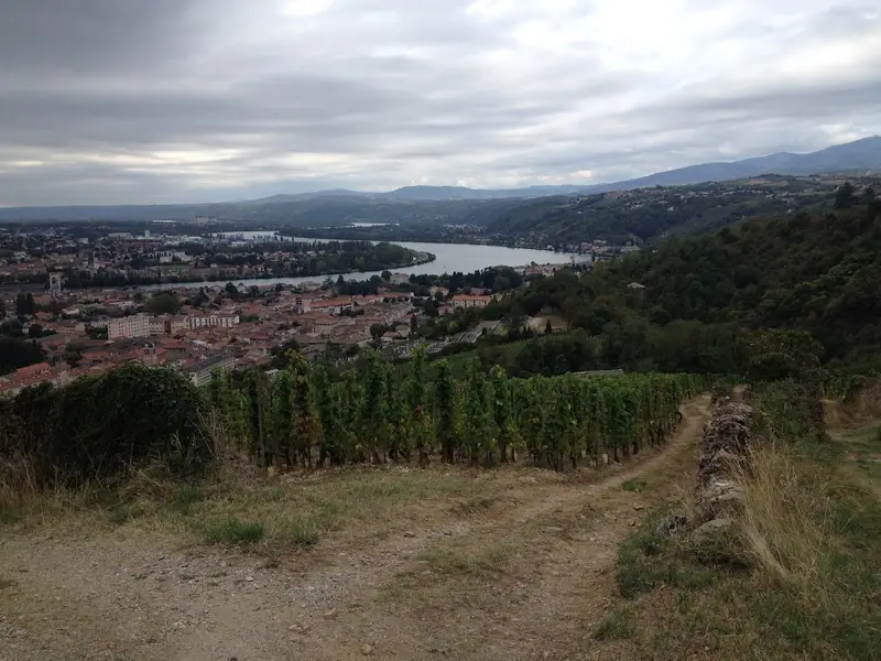 Domaine Merlin François