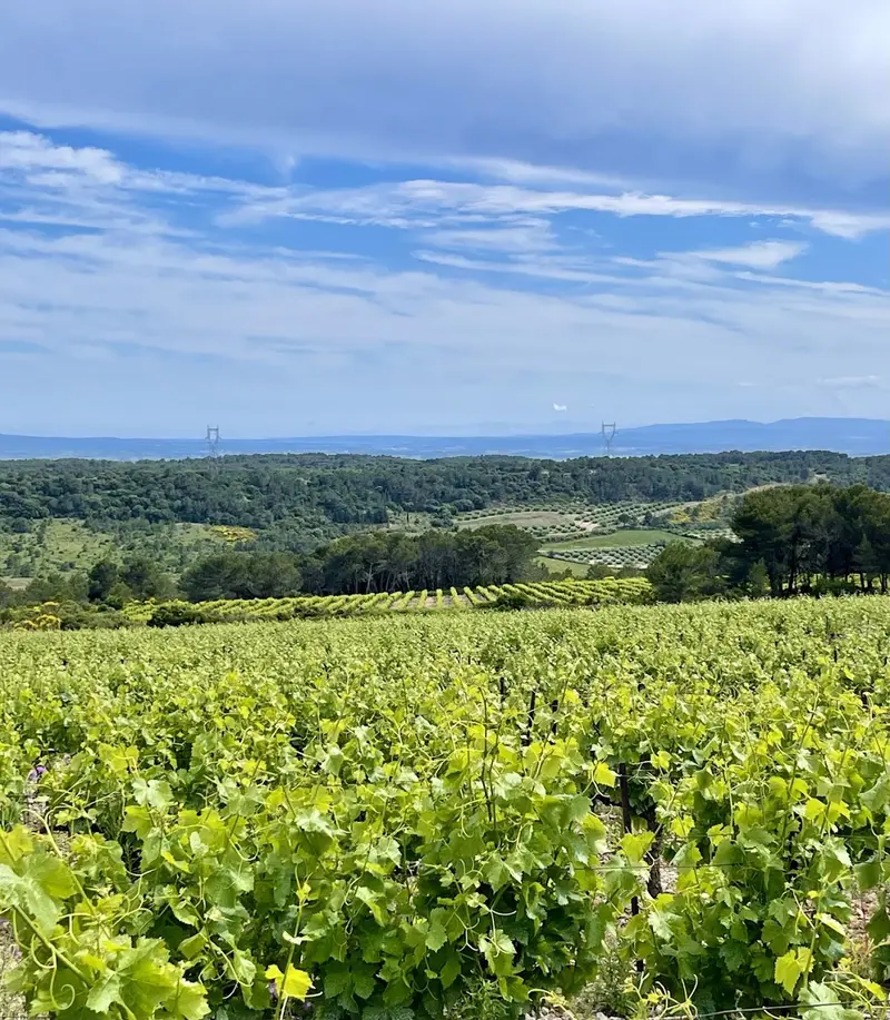 Chateau de Gragnos