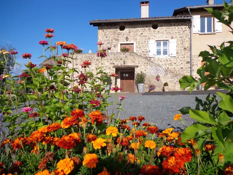 Domaine Tano Péchard