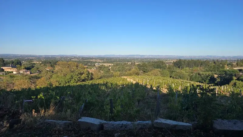 Domaine Lapandéry