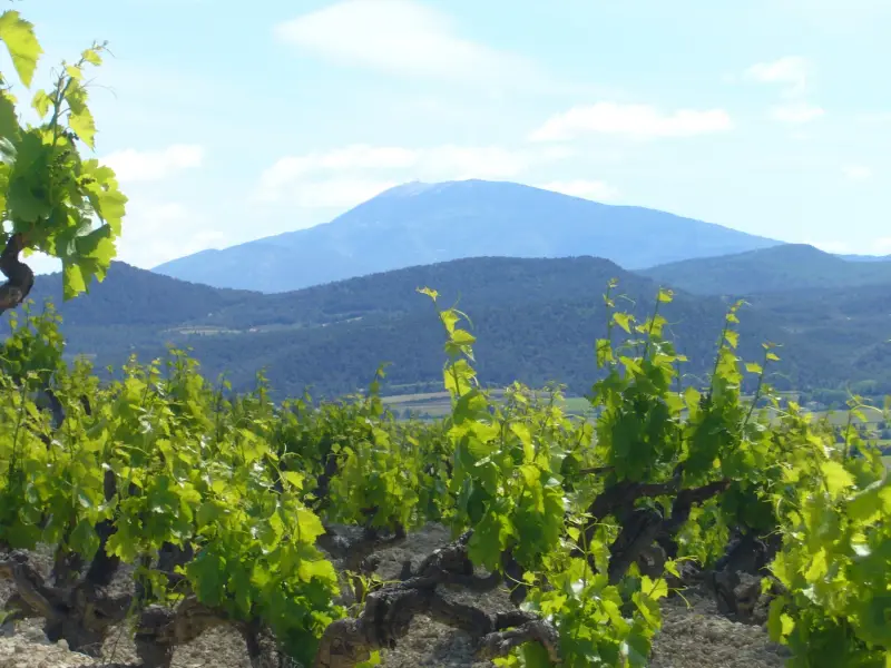 Domaine de la Girardière