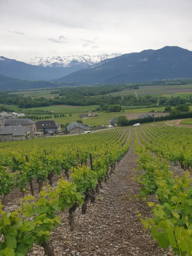 Caveau Domaine de Lorbert